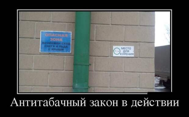 Сборник демотивационных приколов Сборник демотивационных приколов