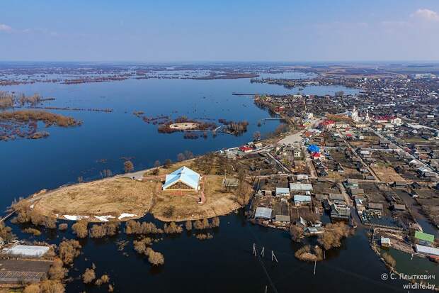 Белорусская «Амазония» удивила иностранцев