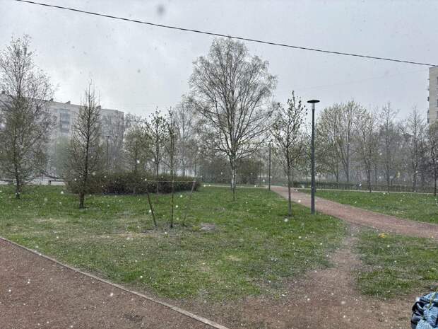 Улицы Петербурга 6 апреля заметет снежной крупой