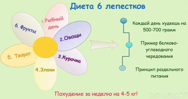 Диета 6 лепестков