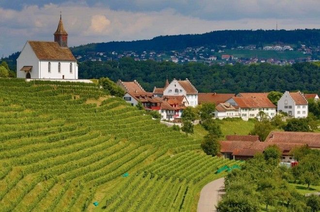 Деревню Рейнау (Rheinau) инициаторы пилотной программы считают «Швейцарией в миниатюре». Деревню Рейнау Rheinau инициаторы пилотной программы считают Швейцарией в миниатюре