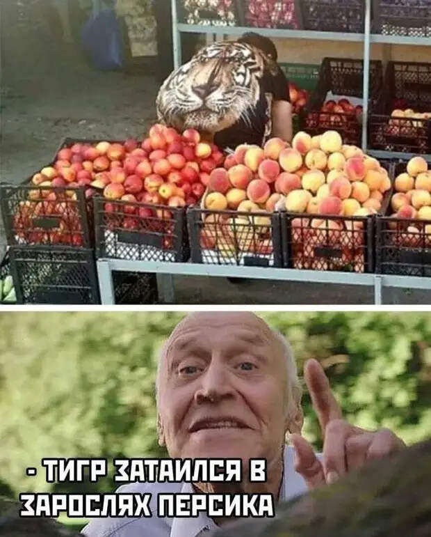 Понедельник. Утро. Похмелье. Мужчина подходит к зеркалу...