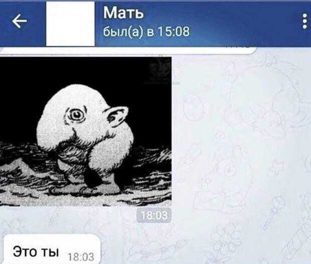 Лучшие шутки и мемы из Сети