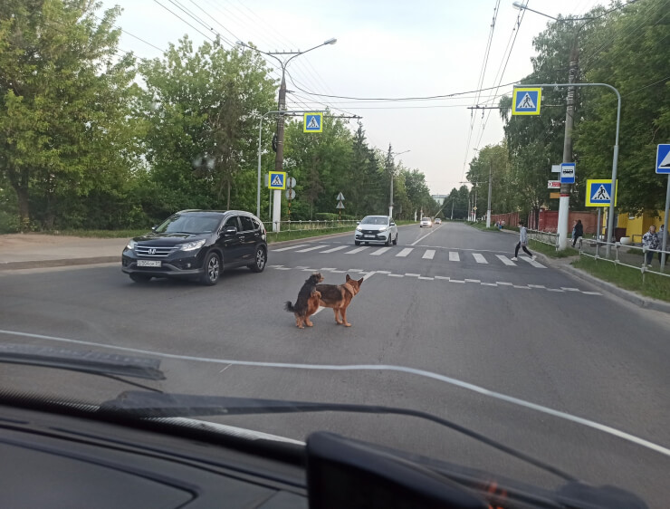 приколы 2021