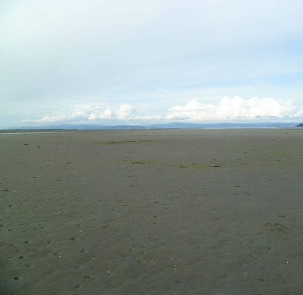 отл2 (500x486, 173Kb)