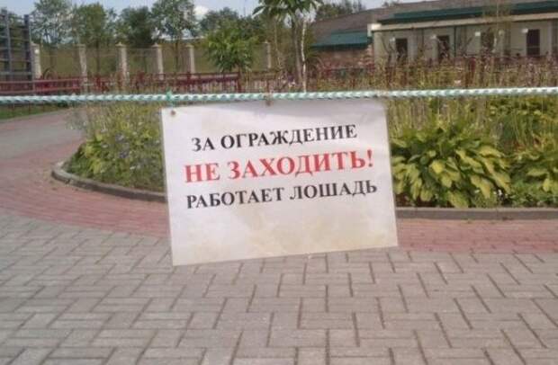Рекламные маразмы