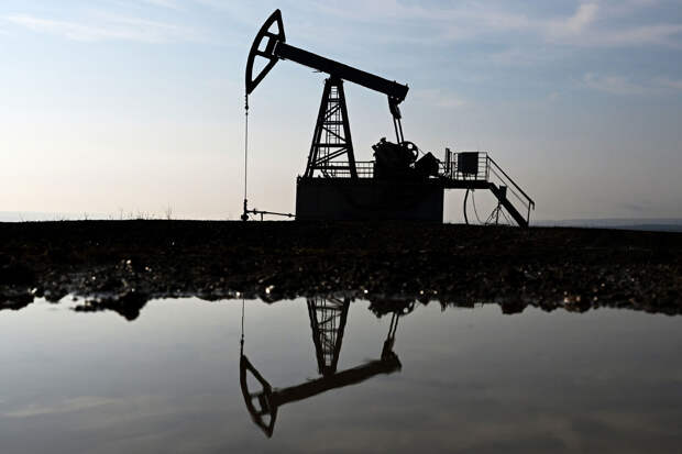 Экономист Головнин: КНР, Индия и Турция останутся главными покупателями нефти РФ