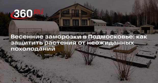 Агроном Воробьев объяснил, как защитить растения от весенних заморозков