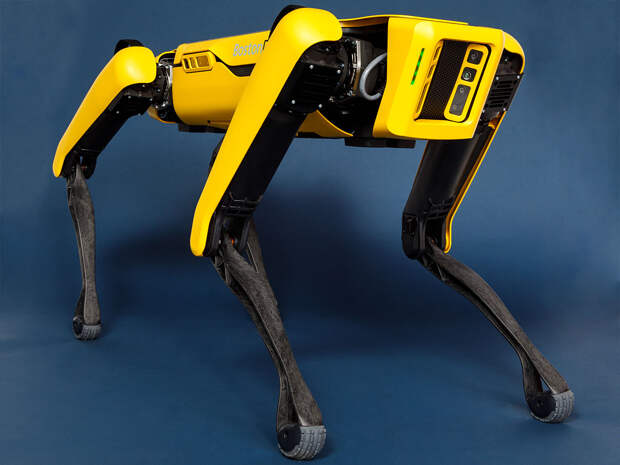 В Китае создали робопса AlphaDog, который почти в 30 раз дешевле, чем Boston Dynamics