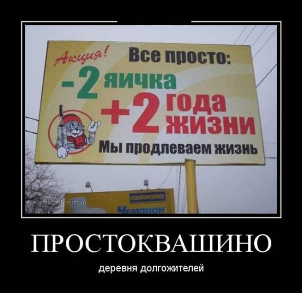 Обо всём.