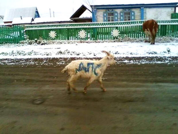Символично глубинка, деревня, прикол, фотографии