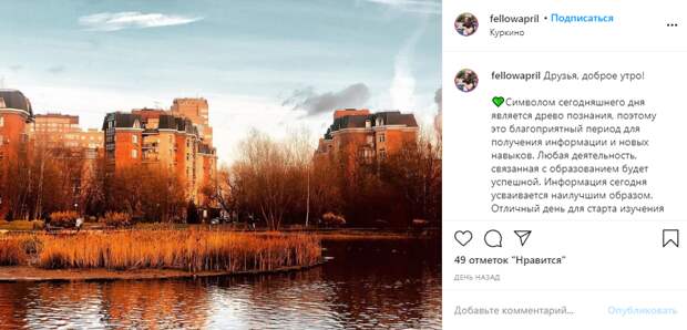 Фото дня: золотая осень в Куркине
