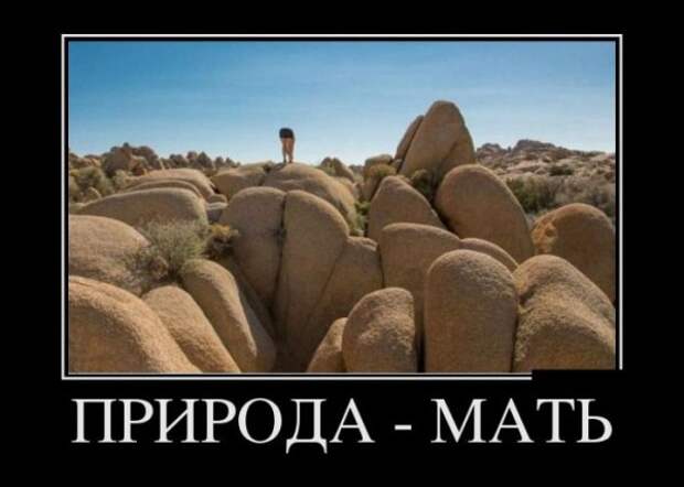 Обо всём.