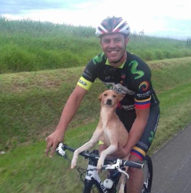 велосипедист с собакой