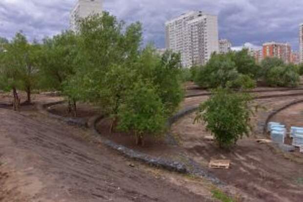 Фото: Денис Афанасьев, «Юго-Восточный курьер»