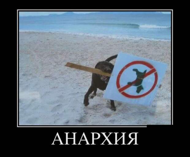 Демотиваторы