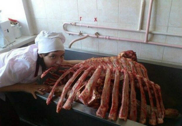 Хищница. Хищница.
