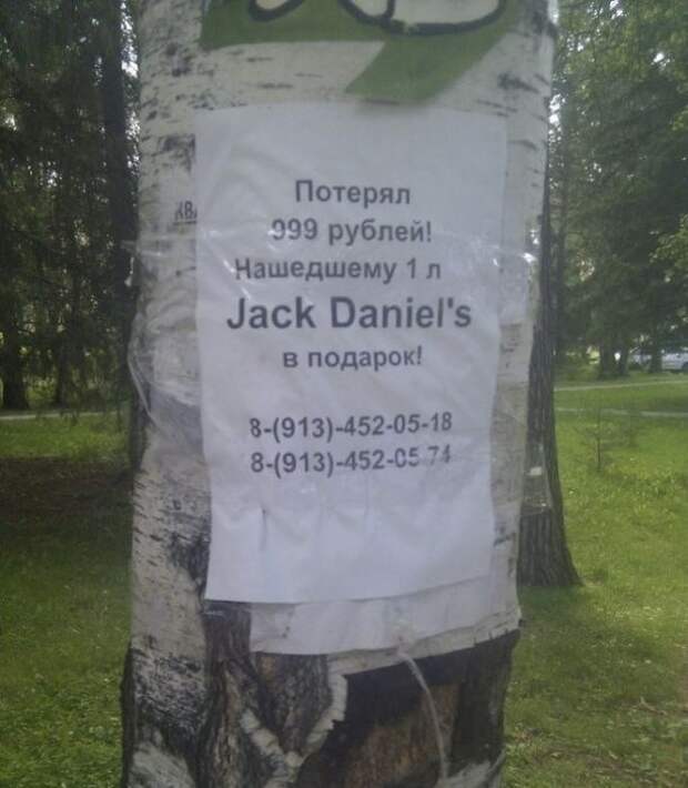 Забавные надписи и объявления Забавные надписи и объявления