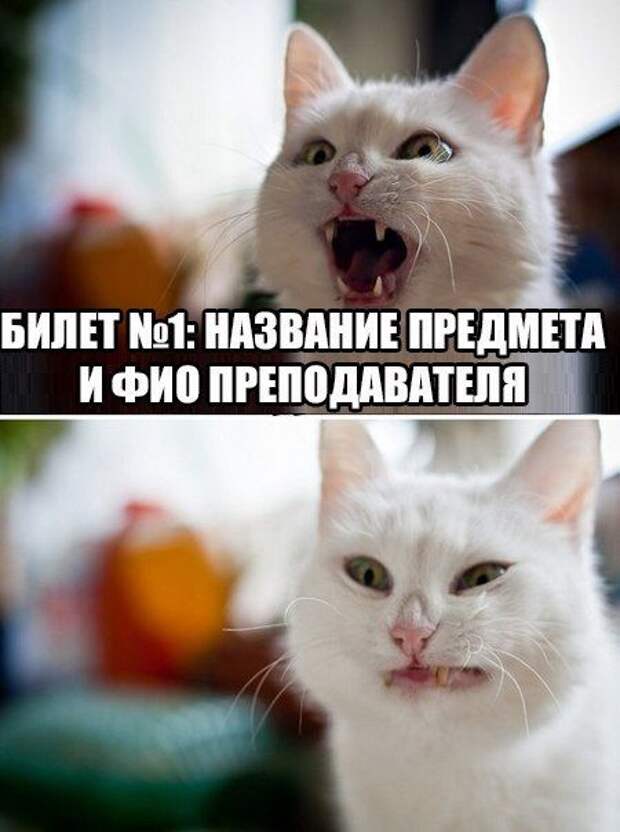 Прикольные картинки (102 фото) Прикольные картинки (102 фото)