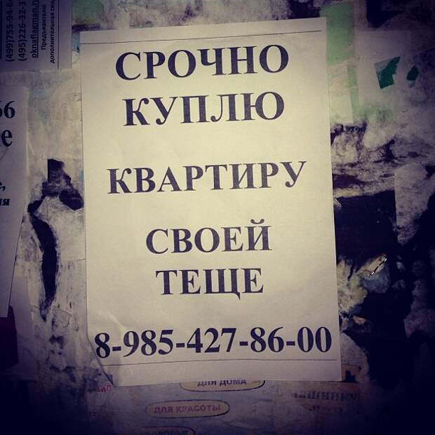 Хоронили тещу - порвали два баяна! Хоронили тещу - порвали два баяна! женщины, мужчины, прикол, юмор