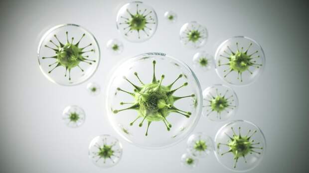 Почему некоторые вирусы остаются в организме на всю жизнь — исследование