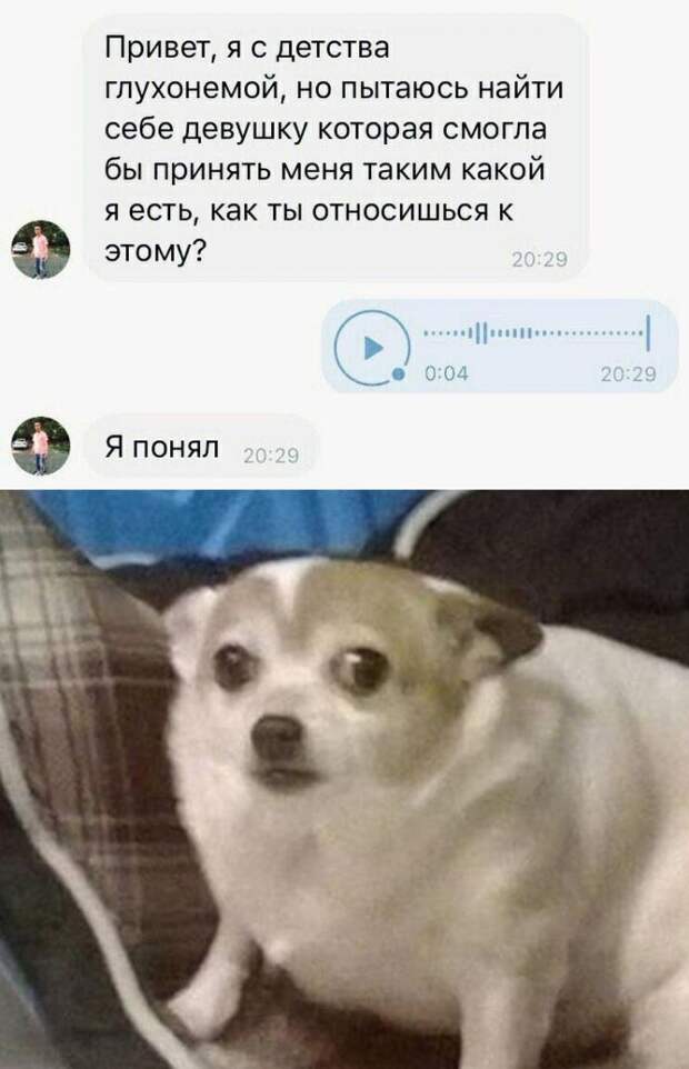 kartinok-interesnyh-prikolnyh-kartinki-smeshnye-kartinki-fotoprikoly