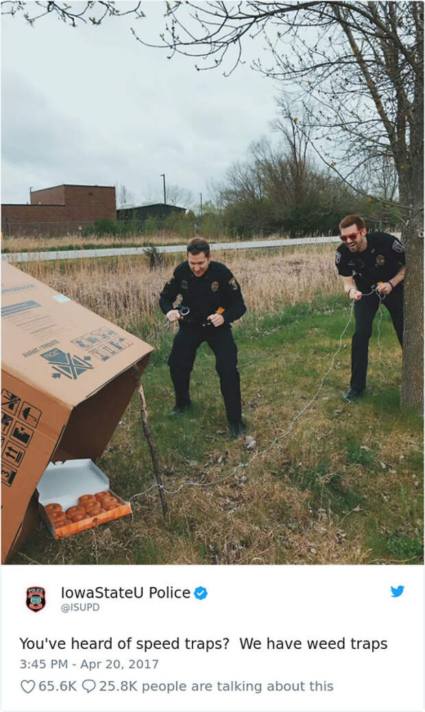 Weed Traps