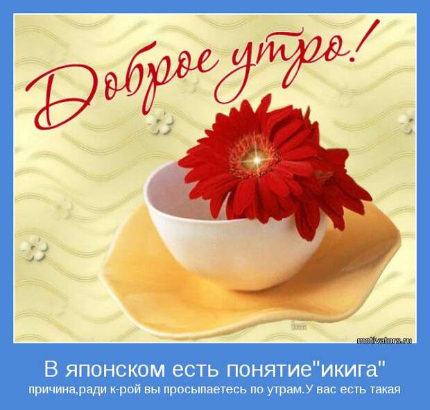 Утренние мотиваторы (78 фото) Утренние мотиваторы (78 фото)
