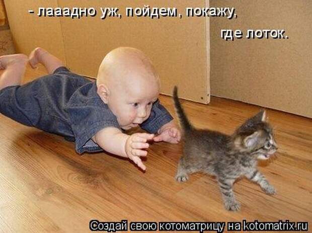 Котоматрицы :)