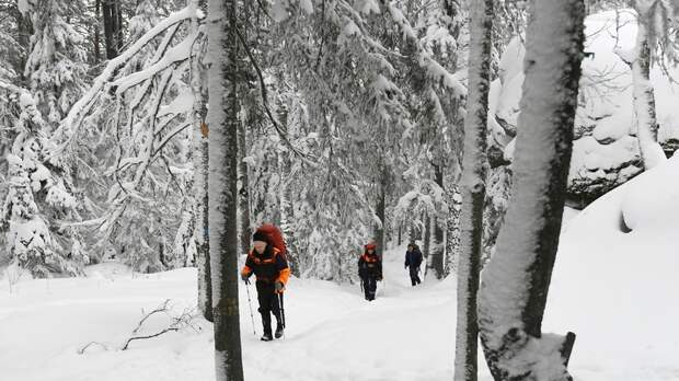 Спасатели с пятницы возобновляют поиски пропавшей в тайге семьи Усольцевых