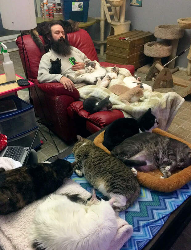 cute-animal-pictures-shelter-workers-360jpg-5a8bdb803f839__605