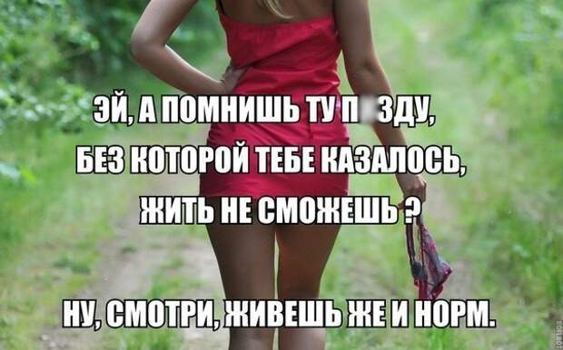 Смешные картинки с надписями с надписями, смешные картинки