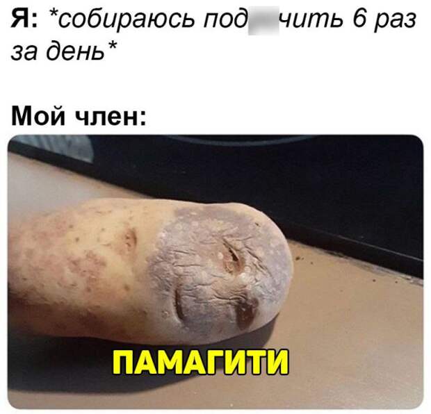 www.vsyako.net