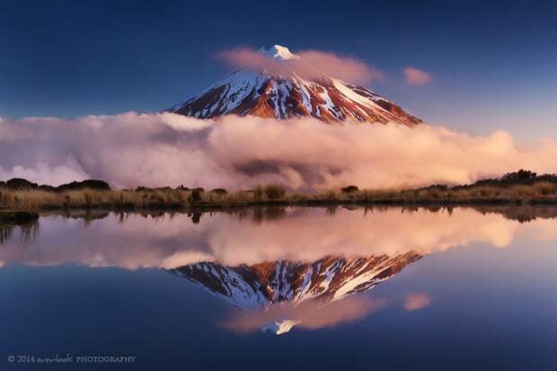 everlookphotography5