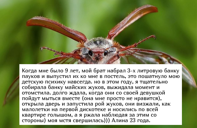 Жизненные истории людей (15 фото)