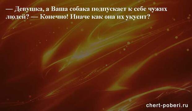 Самые смешные анекдоты ежедневная подборка chert-poberi-anekdoty-chert-poberi-anekdoty-24140208062020-16 картинка chert-poberi-anekdoty-24140208062020-16