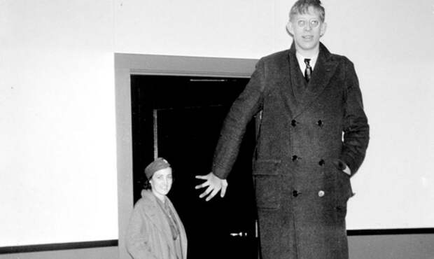 Насколько был огромным Роберт Уодлоу — самый высокий человек в истории