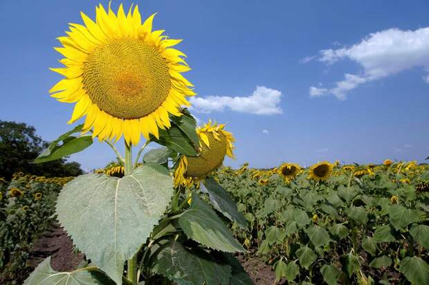 Фото: www.globallookpress.com