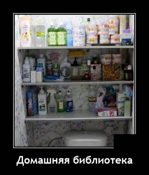 Демотиватор про туалеты