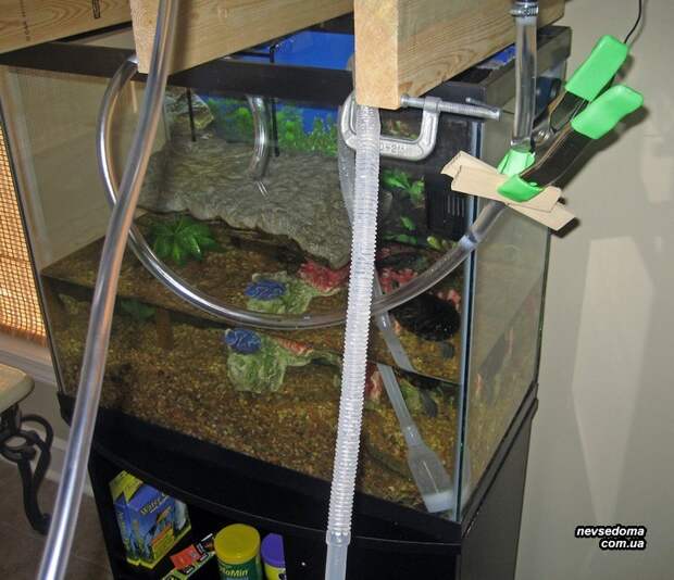 Как лентяи чистят аквариумы? (7 фото)