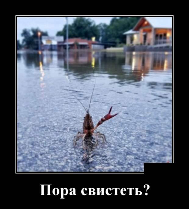 Рак на горе свистит