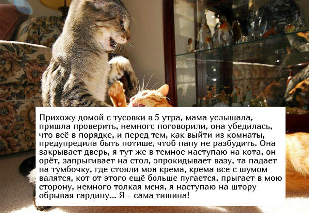 Жизненные истории людей (15 фото)