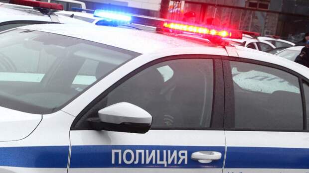 Полиция / Фото: УВД по ЮВАО