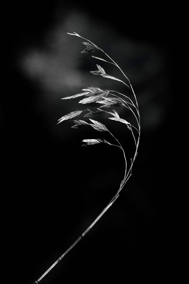 Черно-белые фотографии Enrique Pelaez