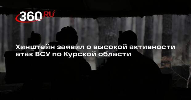 Хинштейн назвал высокой активность ударов ВСУ по Курской области