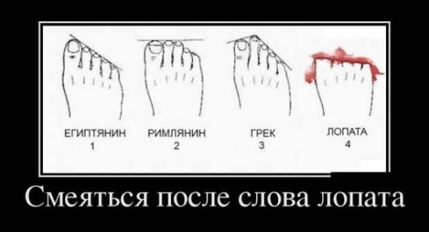 Обо всём.