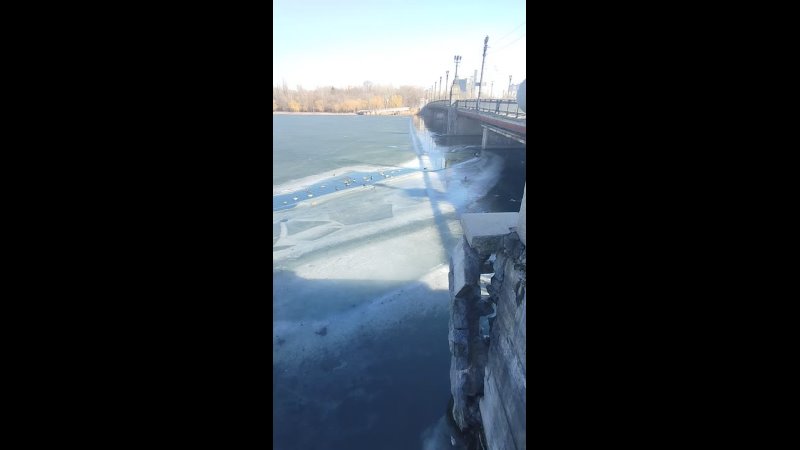 Video: Видео от Донецкая группа новостей|Донецк.ДНР