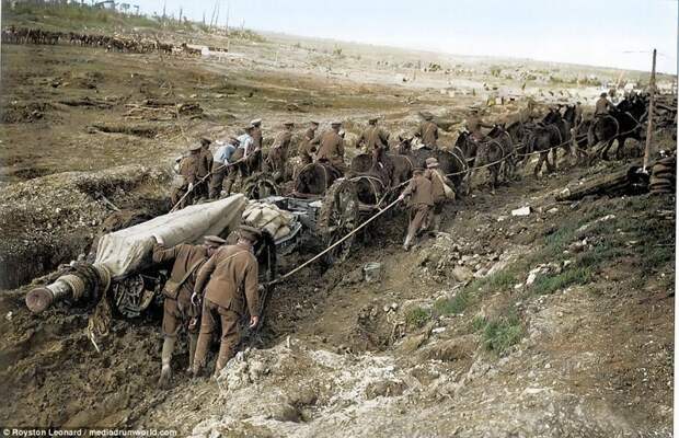 Лошади тянут боевые пушки к месту сражения близ реки Сомме, 1916 г. история, колоризация, обработка, первая мировая война, современные технологии, фото