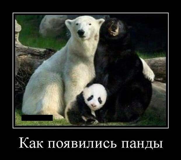 Демотиваторы смех, демотиваторы, прикол, юмор