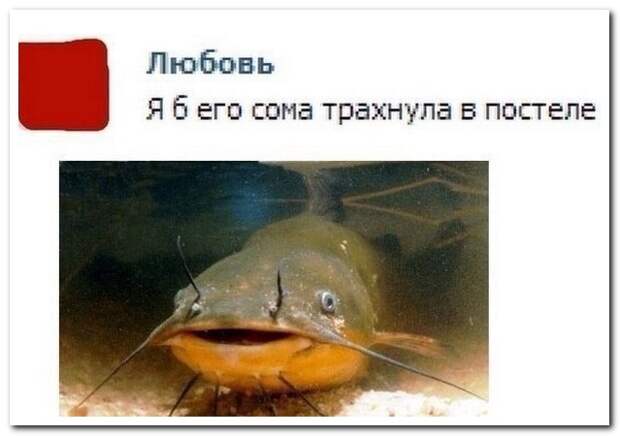 Смешные комментарии из социальных сетей (30 фото) Смешные комментарии из социальных сетей (30 фото)